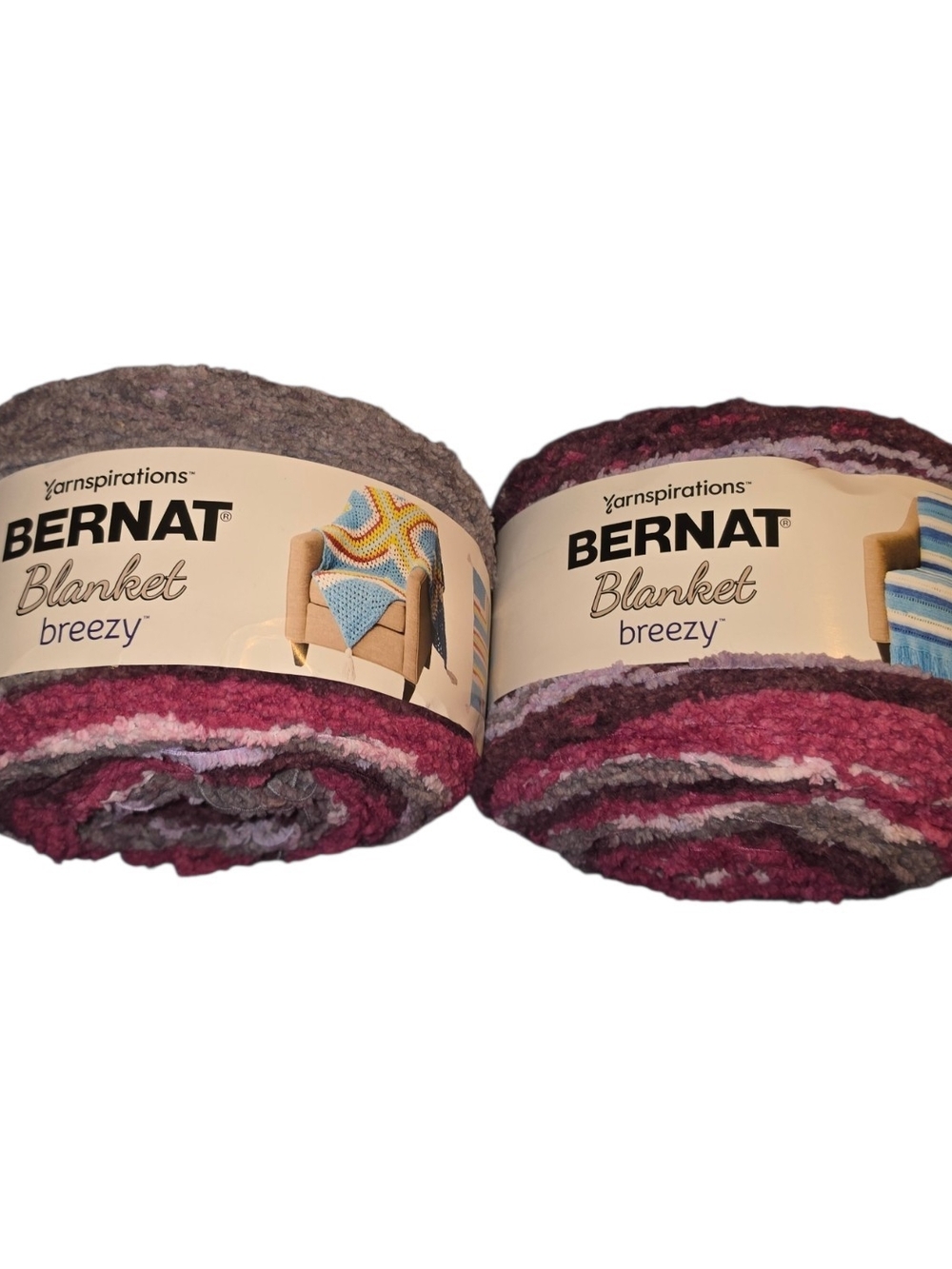 2 Bernat Blanket Breezy Secret Garden Yarn 8.8oz 530 Yds Discontinued